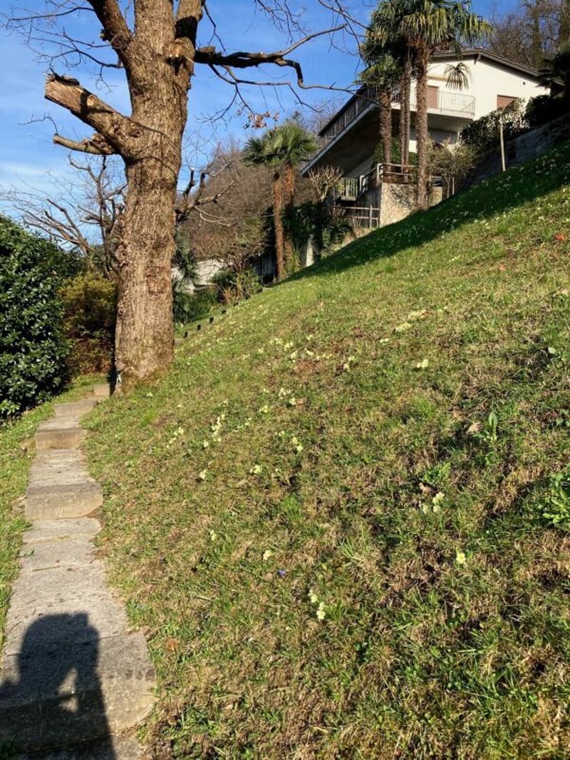 Gambarogno Magadino plot with lake view (8)