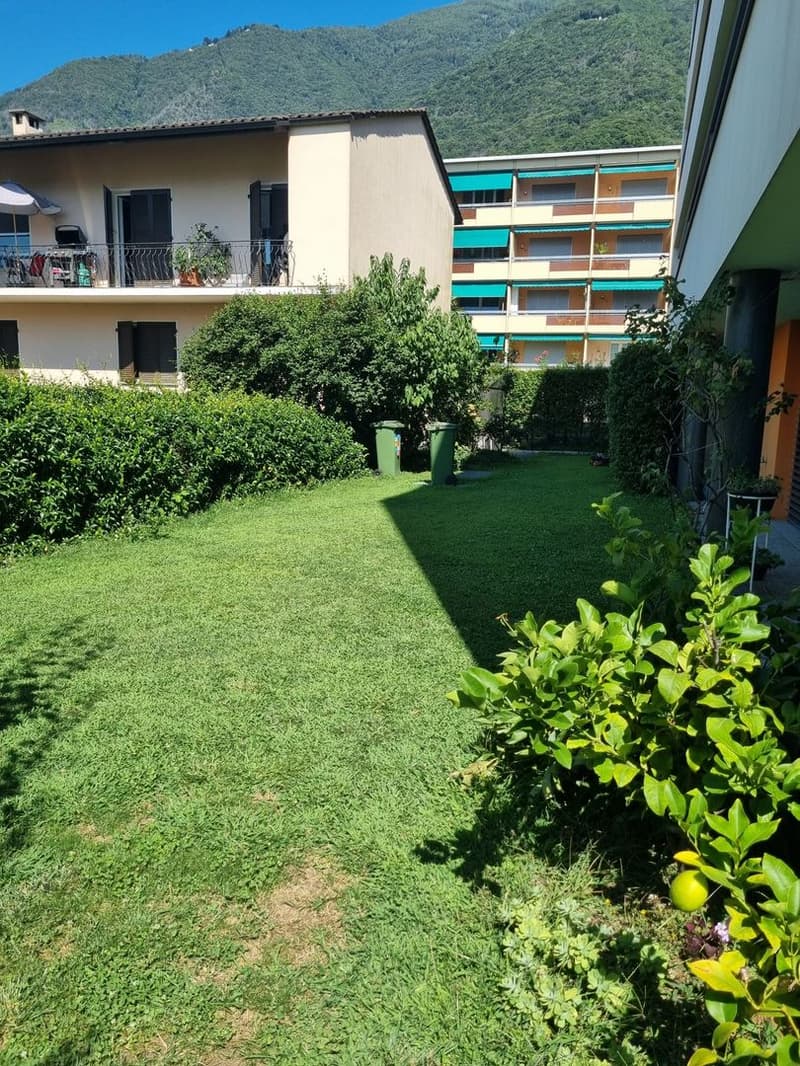 Appartamento 4.5 locali con giardino in via privata – Posizione centrale a Minusio – Residenza secondaria (7)