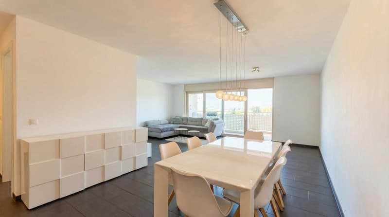 Appartamento 3½ locali, con giardino, vista aperta  e 2 posteggi. Rent to buy possibile (6)