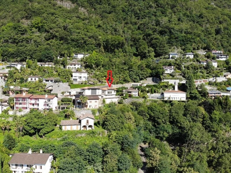 The elegance of the view, the silence of Ronco s/Ascona (14)