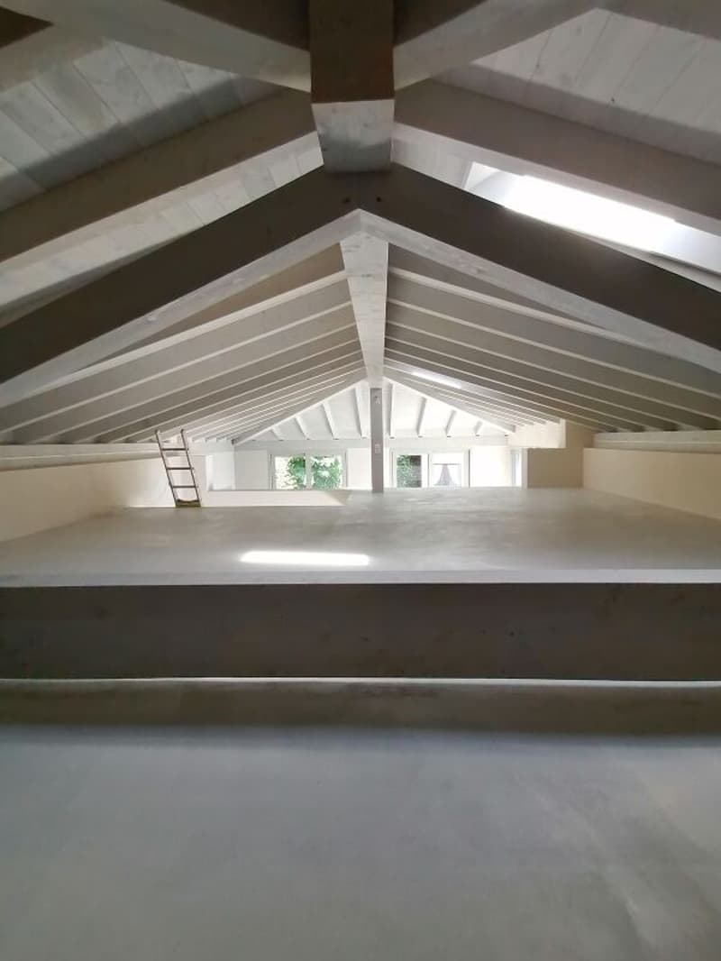 The elegance of the view, the silence of Ronco s/Ascona (12)
