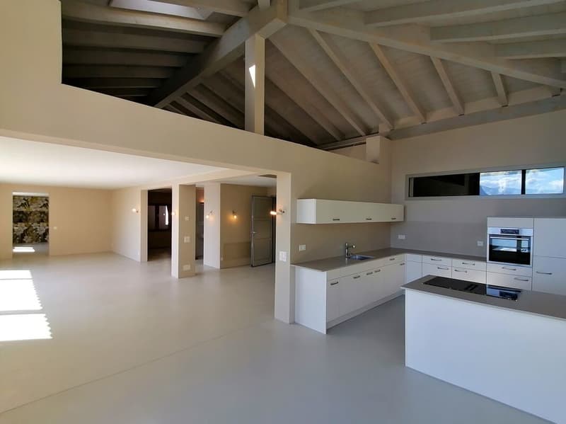 The elegance of the view, the silence of Ronco s/Ascona (8)