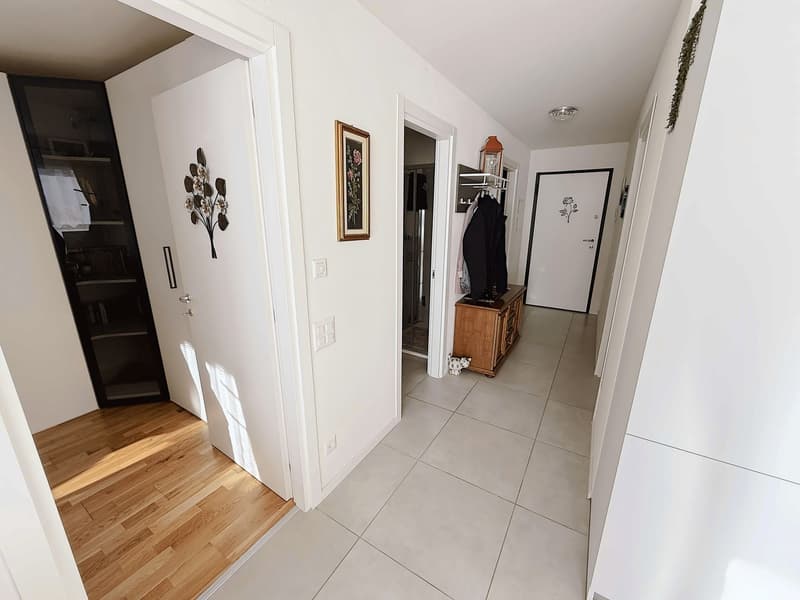 Modern, newly built 3.5-room apartment with terrace (3)
