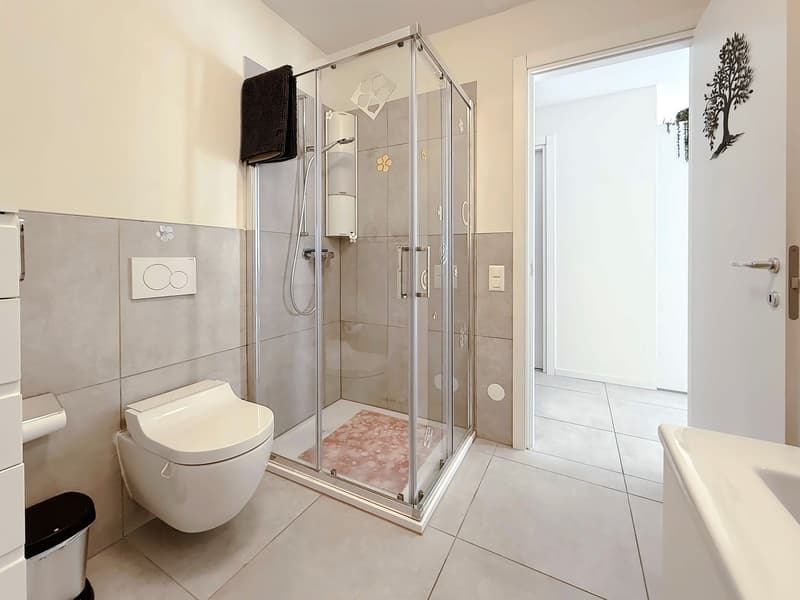 Modern, newly built 3.5-room apartment with terrace (6)