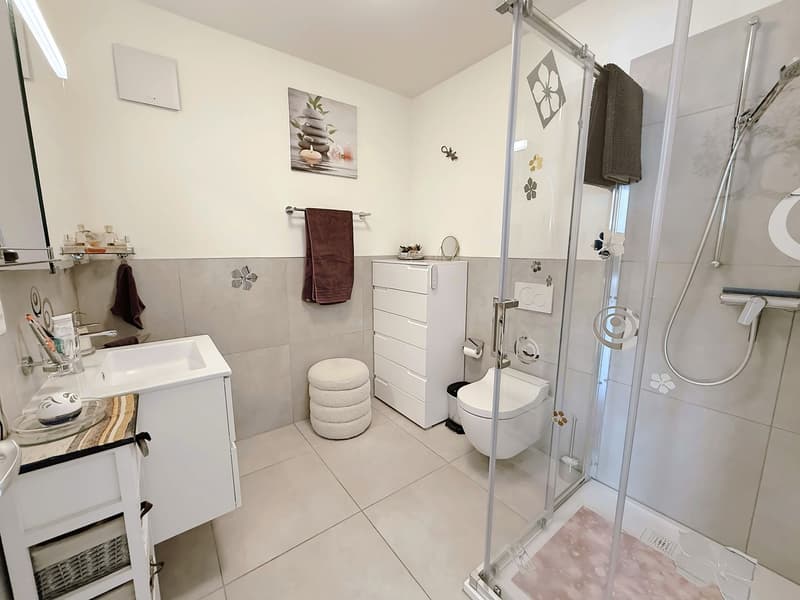 Modern, newly built 3.5-room apartment with terrace (5)