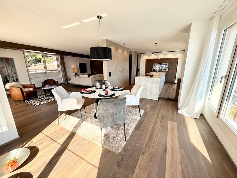Attico di Lusso - 5.5 locali con Vista Lago - Res. Secondaria (3)