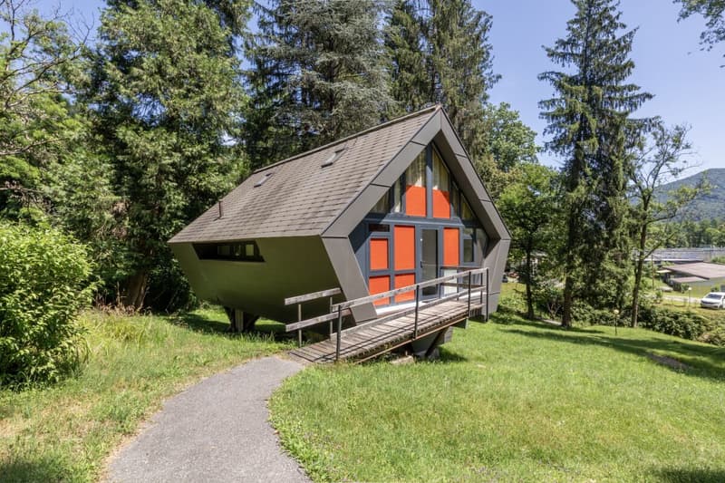 "Bosco della Bella" Last available bungalow surrounded by green (1)