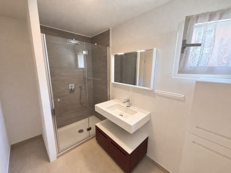 Elegant 4.5 rooms with 2 terraces and 3 parking spaces in Gordola (9)