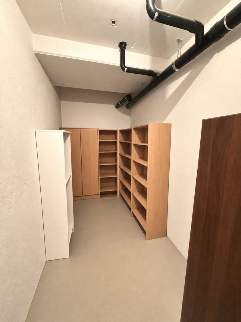 Elegant 4.5 rooms with 2 terraces and 3 parking spaces in Gordola (14)