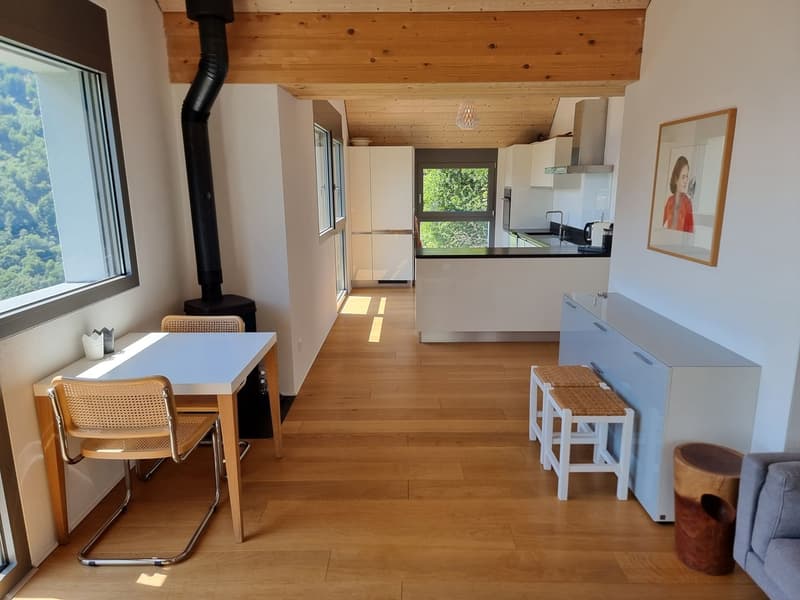 Nouvelle maison unifamiliale avec 6 chambres, très ensoleillée et avec vue sur le lac (4)