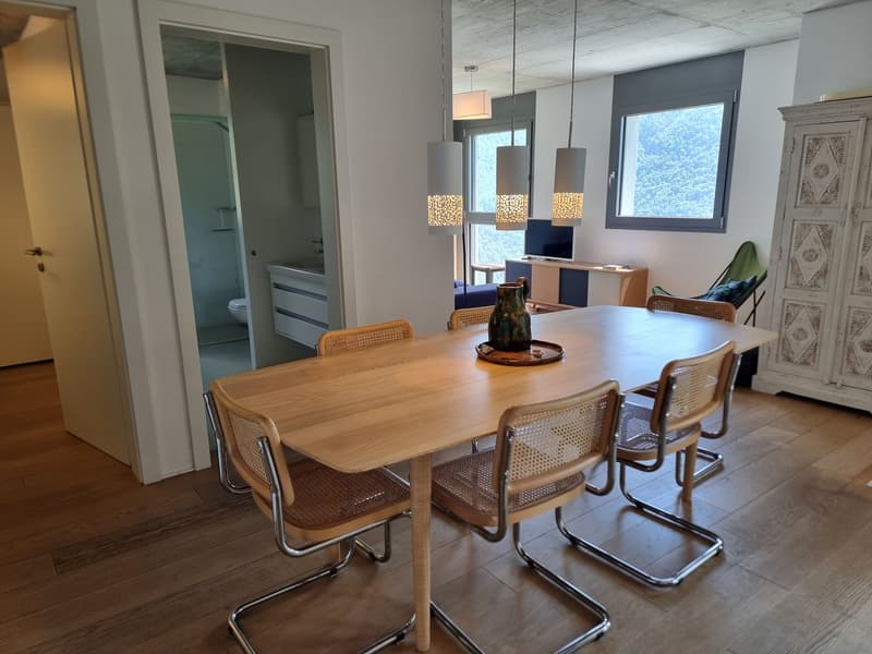 Nouvelle maison unifamiliale avec 6 chambres, très ensoleillée et avec vue sur le lac (2)