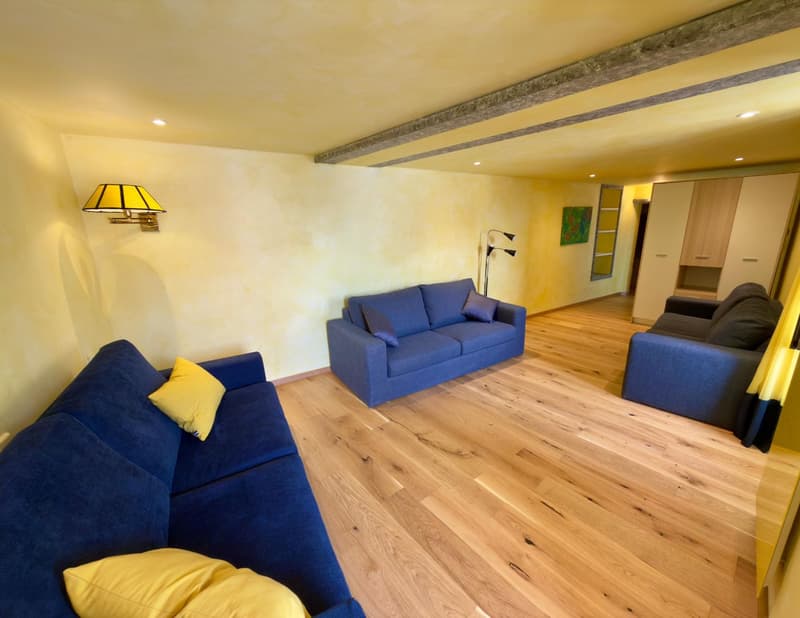 Pied-à-terre vista sul Lago Maggiore – Ronco sopra Ascona (2)