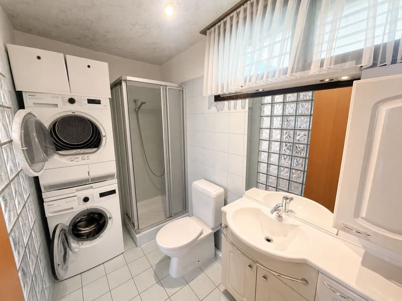 Appartamento di 4½ locali con giardino privato (10)
