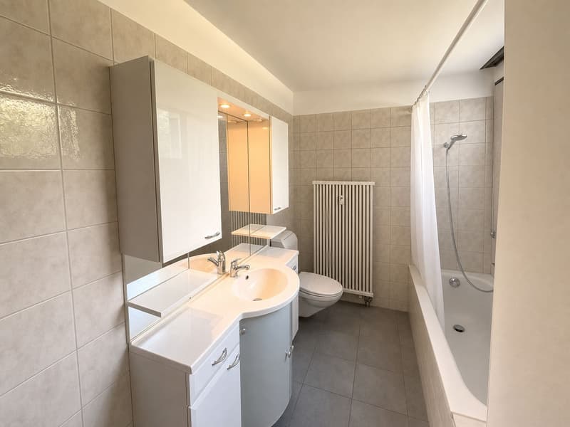 Appartamento di 4½ locali con giardino privato (9)