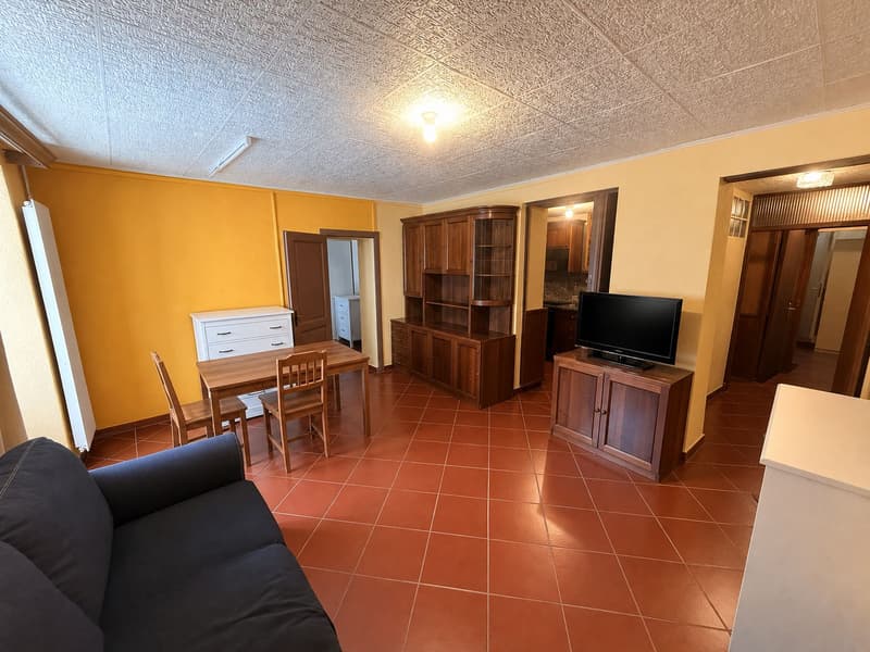 Charming Multi-Family Property with 3 Residential Units in the Heart of Melano (2)