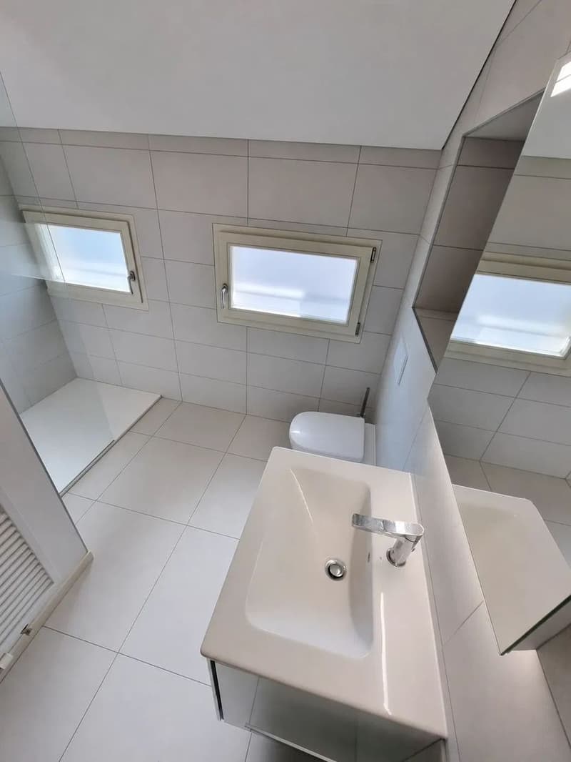 Charmante Dachwohnung mit Terrasse in einer historischen Villa (6)