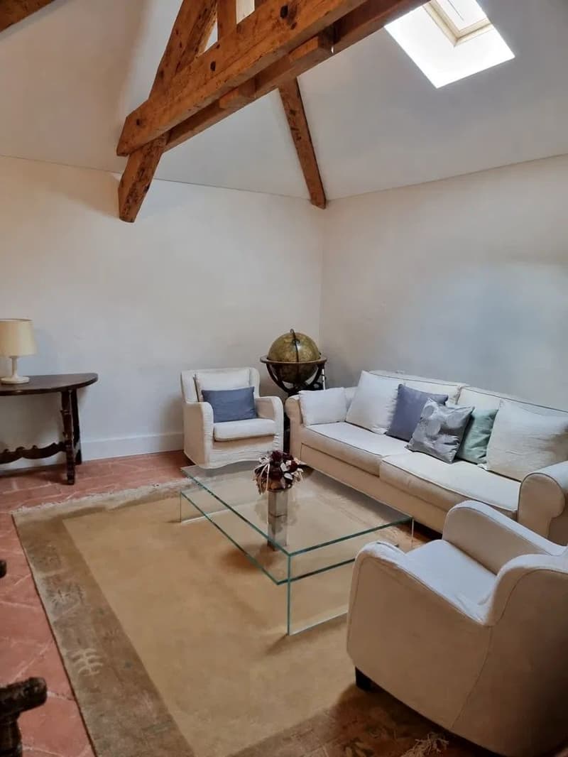 Charmante Dachwohnung mit Terrasse in einer historischen Villa (3)