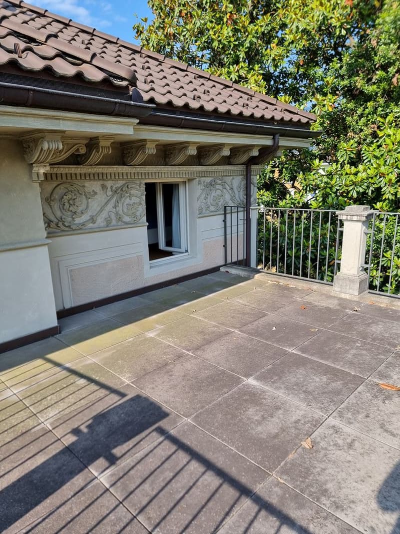 Charmante Dachwohnung mit Terrasse in einer historischen Villa (7)