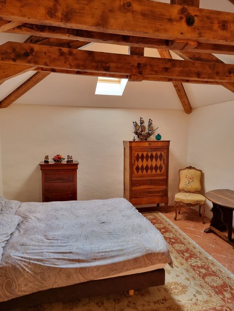 Charmante Dachwohnung mit Terrasse in einer historischen Villa (2)