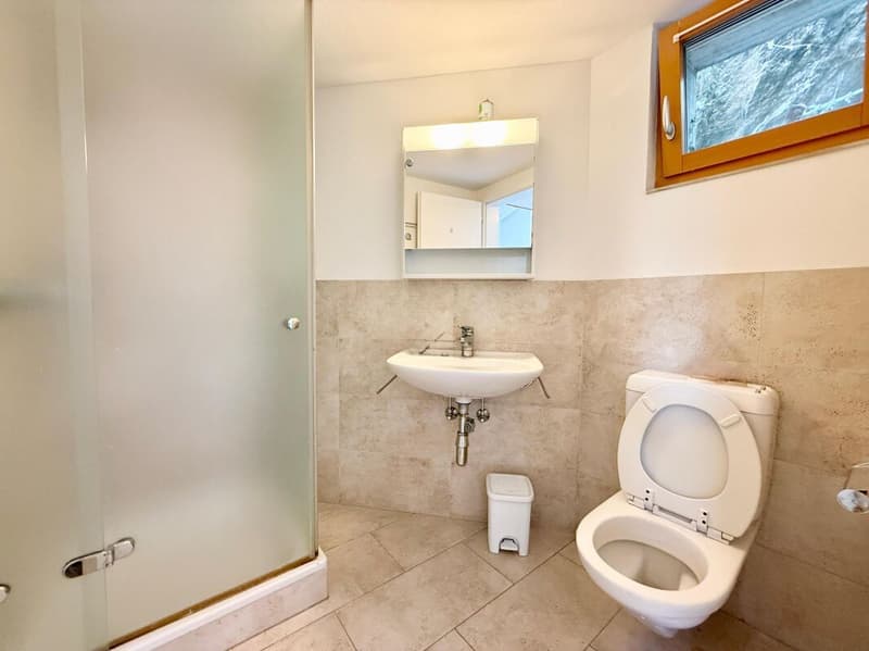 Zweifamilienhaus mit 5.5-Zimmer-Wohnung + 2-Zimmer-Wohnung, grossem Privatgrundstück, 4 Parkplätzen und Solarpanels (17)