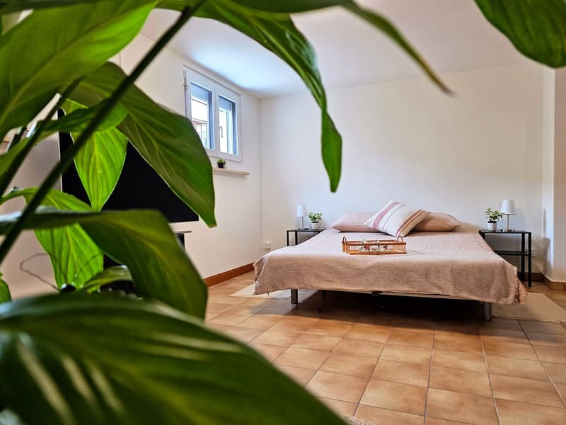 Bilocale ristrutturato con terrazza e ingresso indipendente a Losone, ideale per soggiorni corto-medio termine a Losone (1)