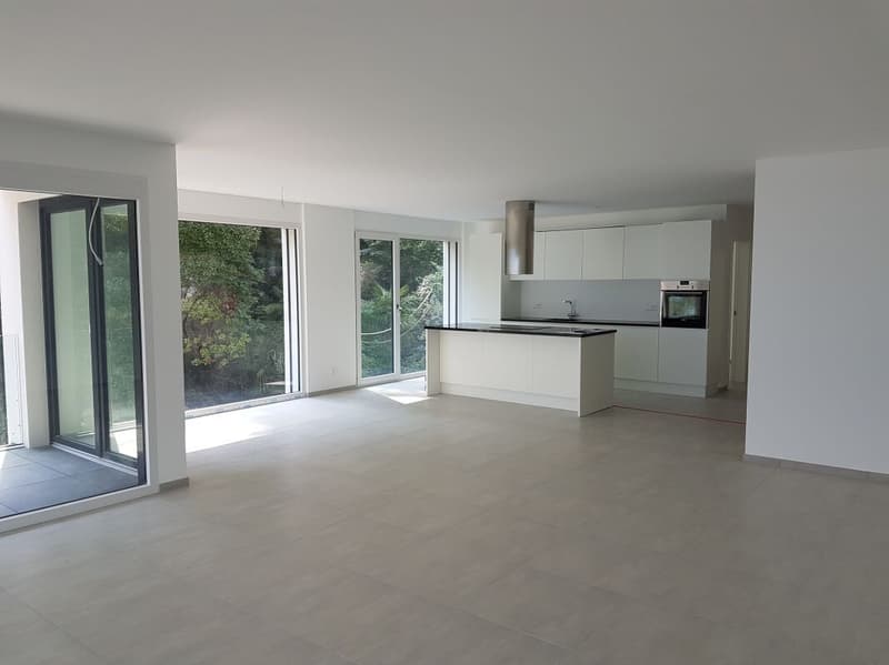 3 ½-Zimmer-Wohnung mit Terrasse und PanoramaSicht auf den Lago Maggiore (7)