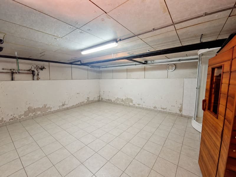 4 ½-Zimmer-Einfamilienhaus mit schönem romantischen und großem Garten (10)