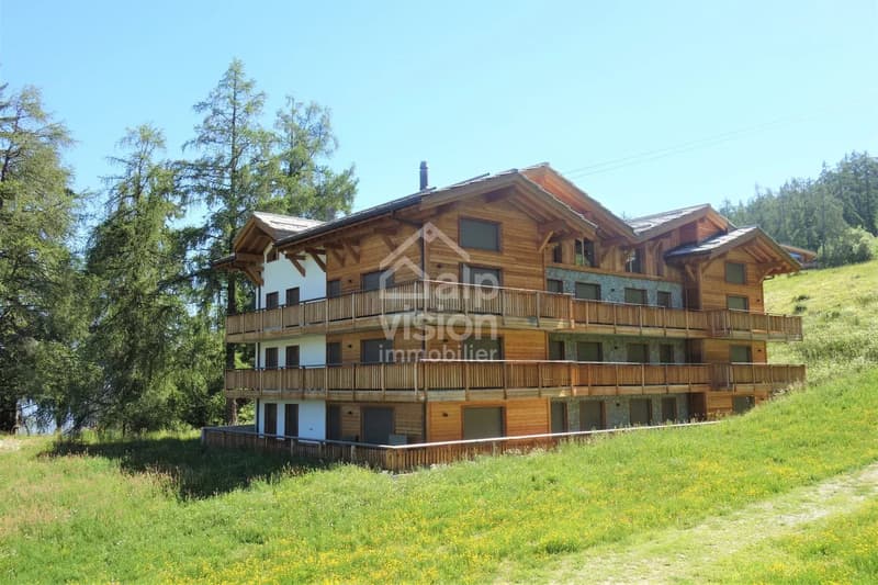 APPARTAMENTO 3.5 LOCALI DI PRESTIGIO SKI IN / SKI OUT (11)
