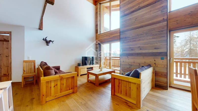 DUPLEX UNICO 5.5 LOCALI SKI IN / SKI OUT (12)