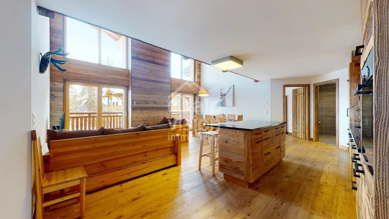 DUPLEX UNICO 5.5 LOCALI SKI IN / SKI OUT (7)