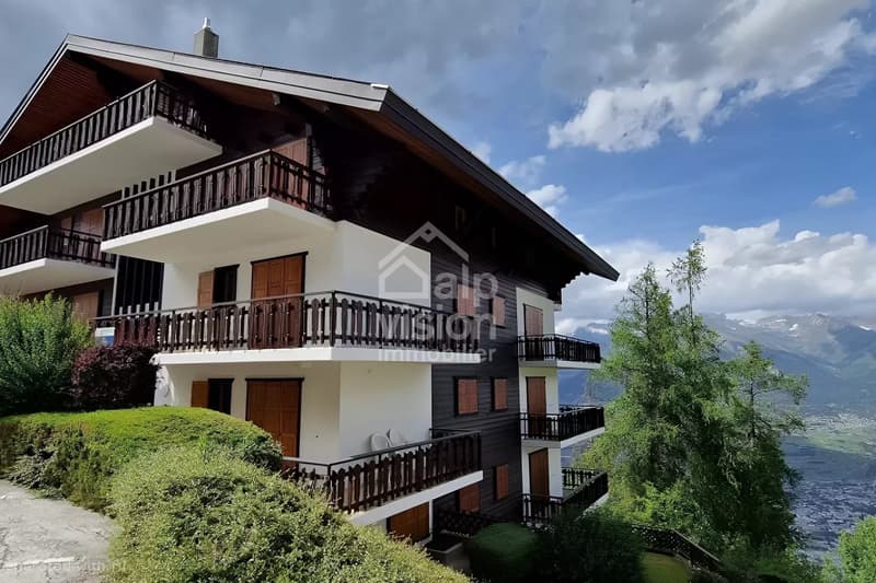 3.5 ROOMS BRIGHT & CLOSE TO 4 VALLEES SKI SLOPES - EXCLUSIVITY (13)