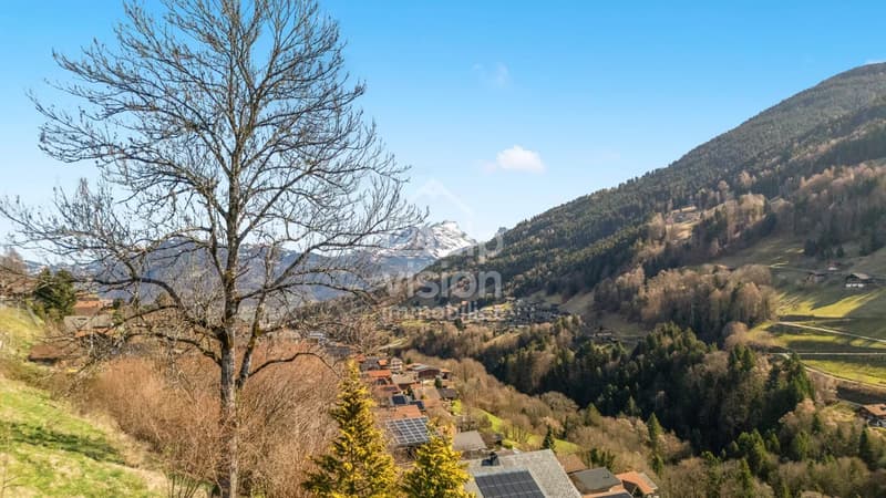 BAUGRUND PORTES DU SOLEIL (8)