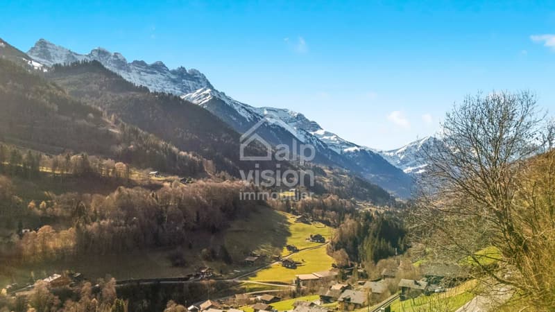 BAUGRUND PORTES DU SOLEIL (7)