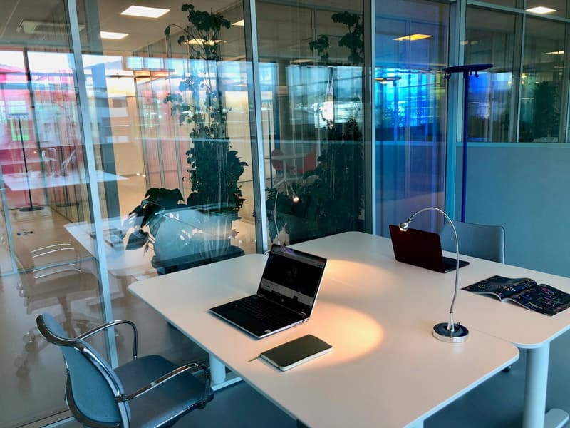 Empty office space with white desk, lamps, laptops, plants, and glass walls.