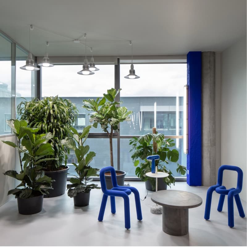Modern indoor space with hanging lamps, blue chairs, cement tables, and various potted plants by the window