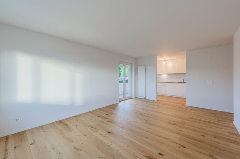 Appartamento luminoso, accogliente 3 locali - completamente ristrutturato (7)