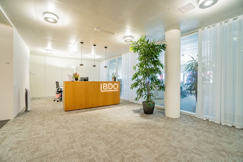 59 m² office in White Plaza, 3rd floor, near SBB - Basel for rent (6)