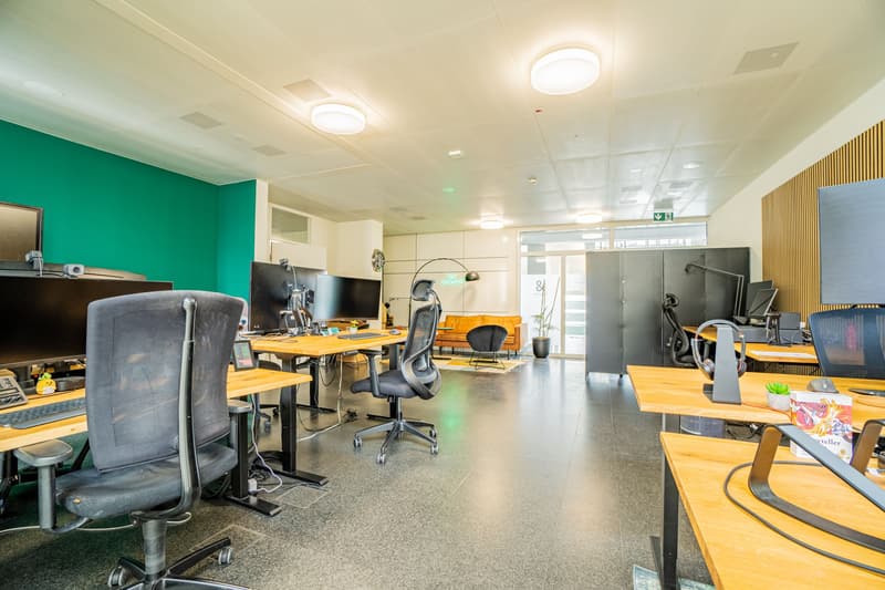 59 m² office in White Plaza, 3rd floor, near SBB - Basel for rent (4)
