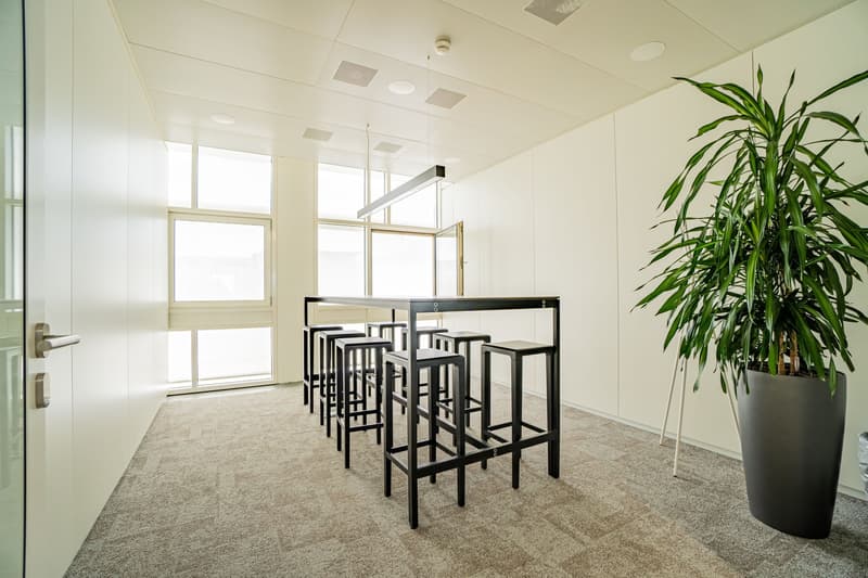59 m² office in White Plaza, 3rd floor, near SBB - Basel for rent (9)