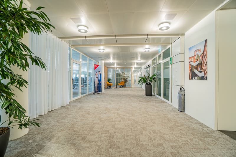 59 m² office in White Plaza, 3rd floor, near SBB - Basel for rent (7)