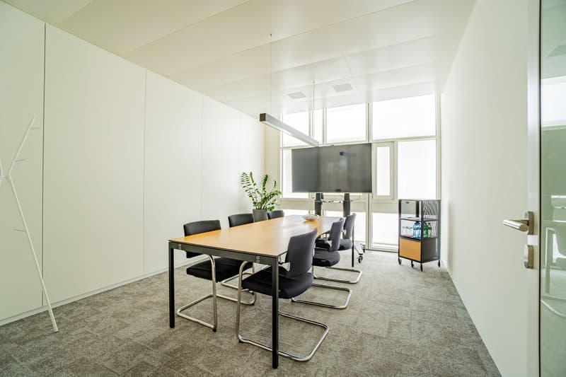 Helles Büro im White Plaza mit Aussenflächen in Basel mieten (6)