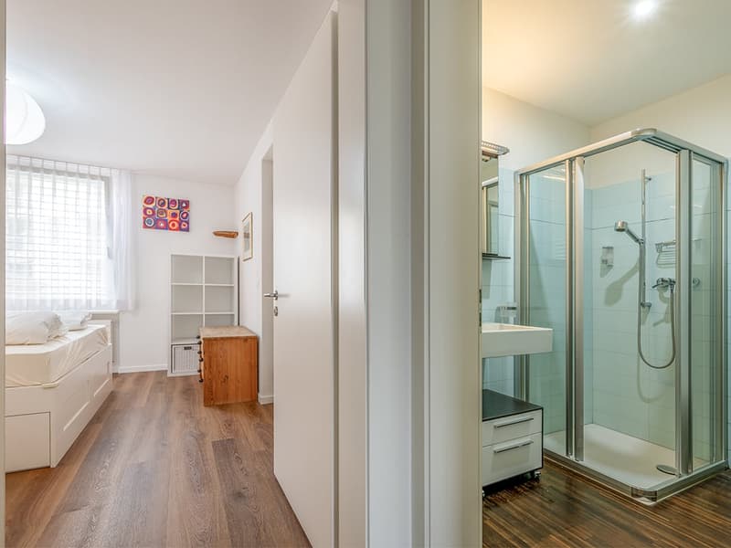 Engadine High Altitude: Penthouse Apartment for Seasonal Rent (12)
