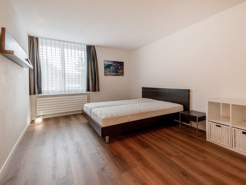 Engadine High Altitude: Penthouse Apartment for Seasonal Rent (8)