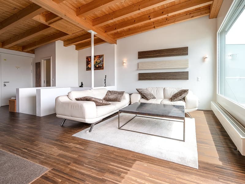 Engadine High Altitude: Penthouse Apartment for Seasonal Rent (4)