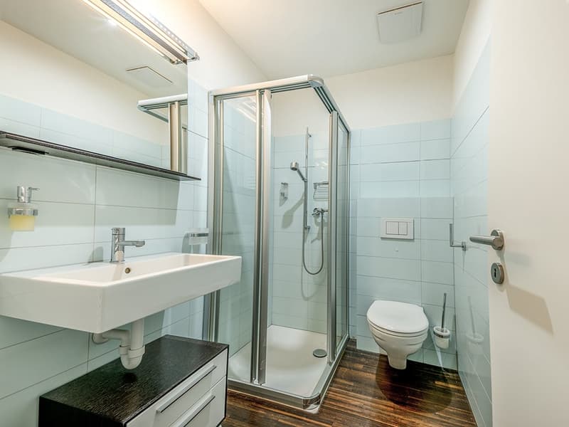 Engadine High Altitude: Penthouse Apartment for Seasonal Rent (14)