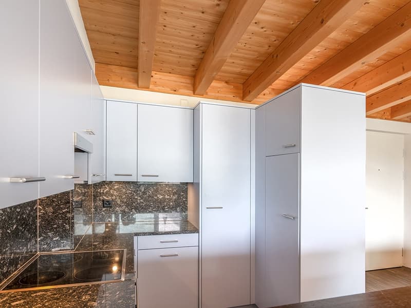 Engadine High Altitude: Penthouse Apartment for Seasonal Rent (5)