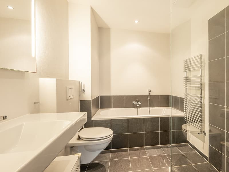Engadine High Altitude: Penthouse Apartment for Seasonal Rent (9)