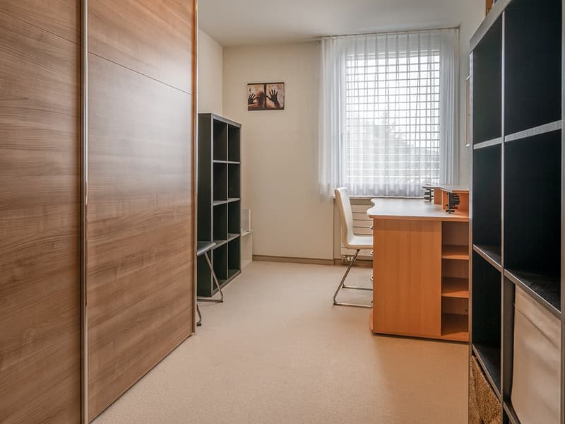 Engadine High Altitude: Penthouse Apartment for Seasonal Rent (15)