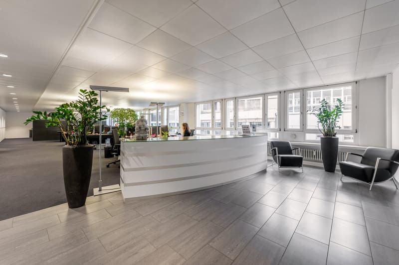 modern office, white walls, gray floor, white reception desk, black chairs, large windows, potted plants