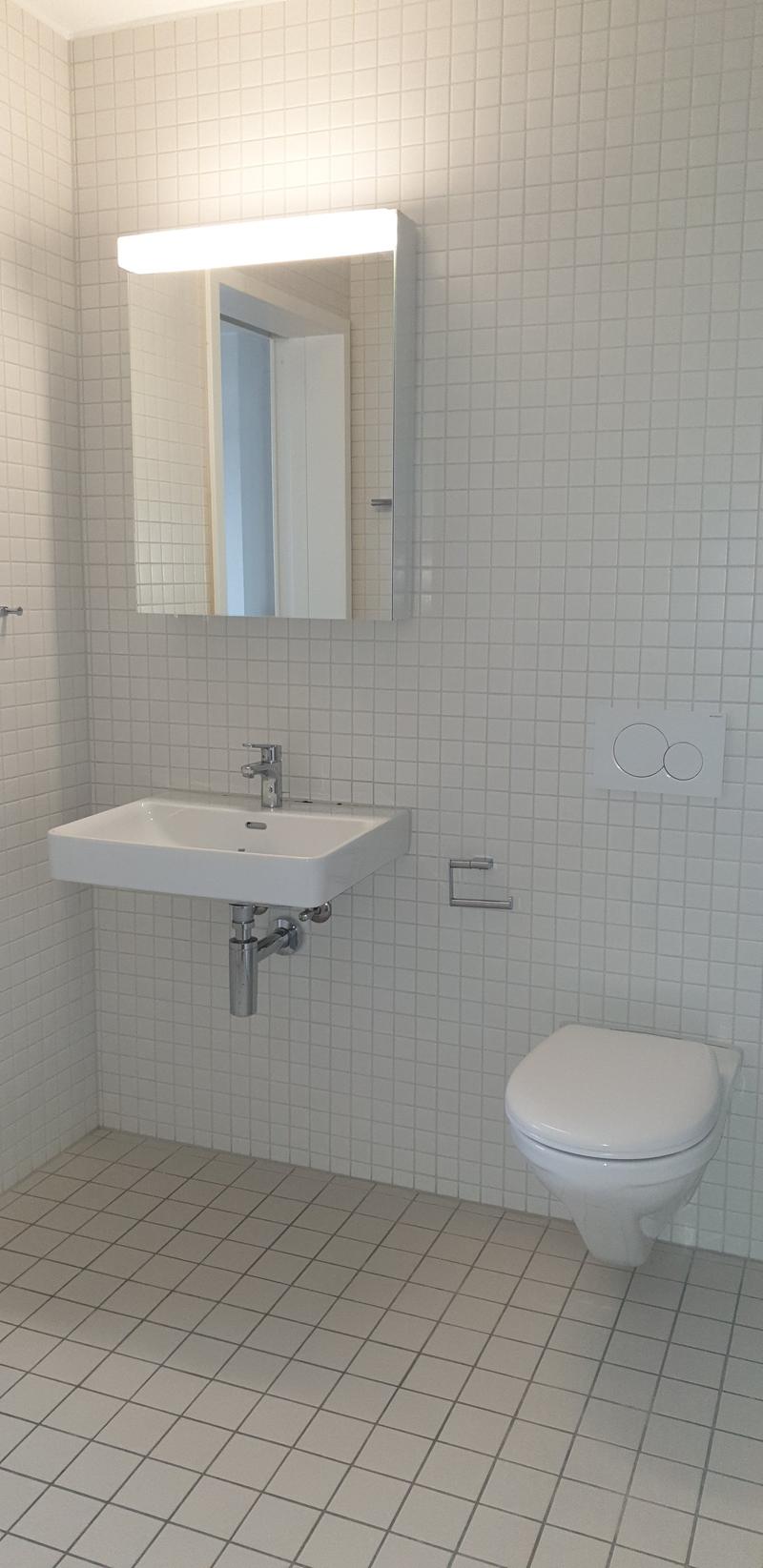 Grösszügige und urbane 2.5 Zimmerwohnung (4)